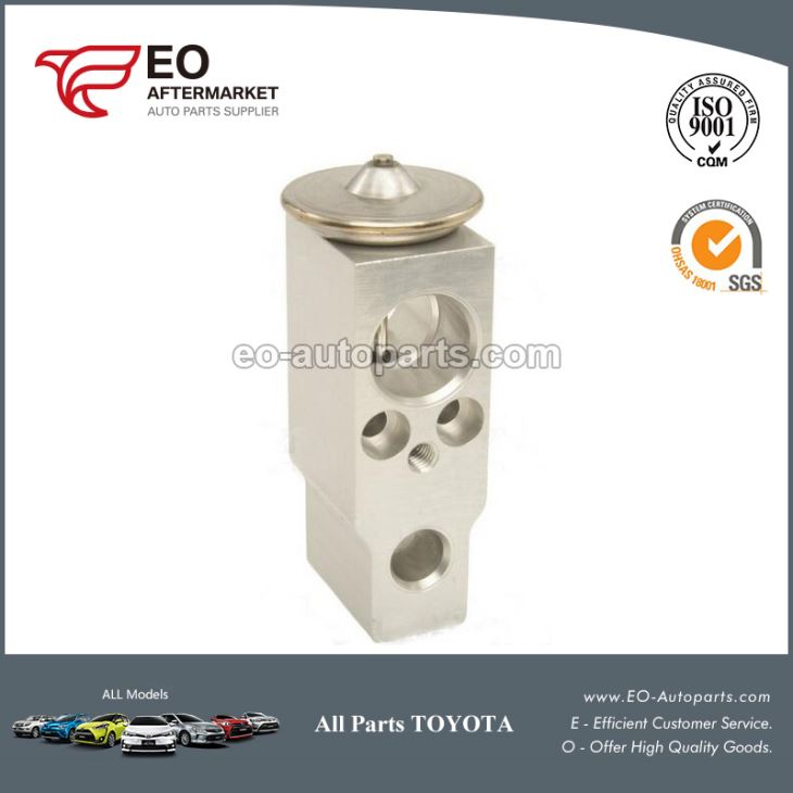 夏永@Fastensing The Czynści Car